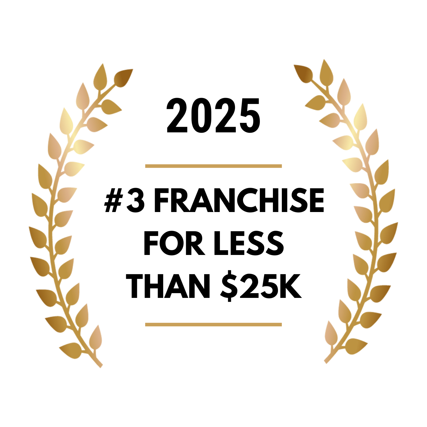 2025 Less than 25k